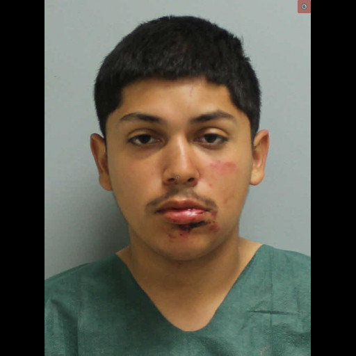 Teen charged after high-speed chase ends with crashed stolen vehicle
