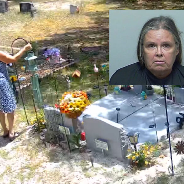 Habitual grave robber captured on camera in latest plot pillage - photo licensed by shore news network.