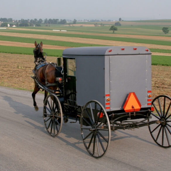 Amish teens at the jersey shore for rumspringa adventures leave locals intrigued - photo licensed by shore news network.