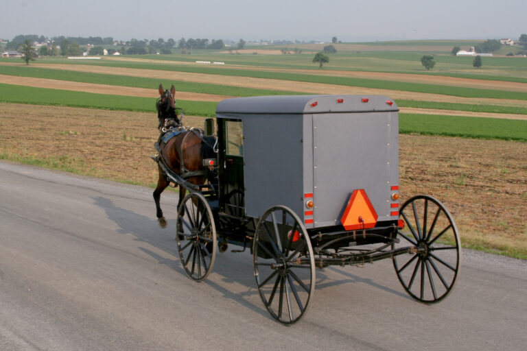 Amish teens at the jersey shore for rumspringa adventures leave locals intrigued - photo licensed by shore news network.