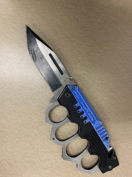 Migrant weapon and DUI conviction taken into ICE custody in Baltimore