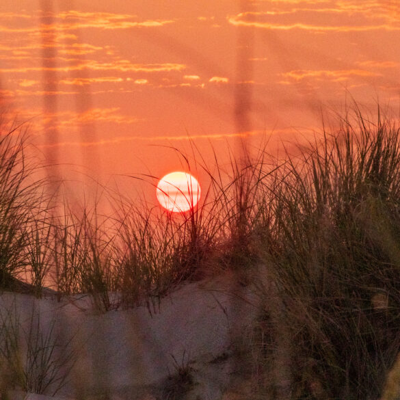 Extreme heat, poor air quality to blanket new jersey through mid week - photo licensed by shore news network.