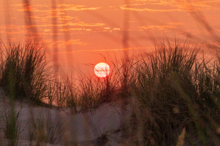 Extreme heat, poor air quality to blanket new jersey through mid week - photo licensed by shore news network.