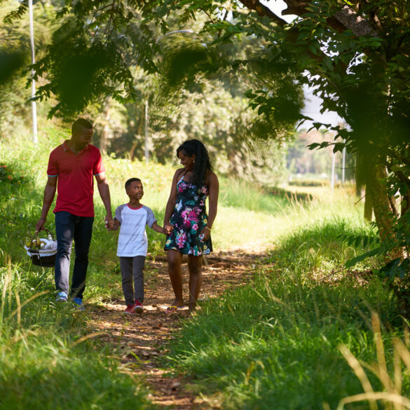 New jersey's wildlife management areas can be fun to visit, but don't do these ten things - photo licensed by shore news network.