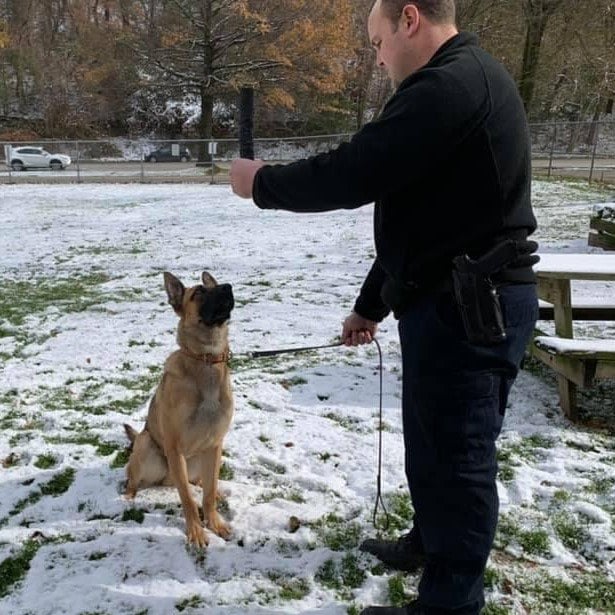 Pittsburgh Police K9 Miky dies from medical emergency Pittsburgh Police K9 Miky dies from medical emergency