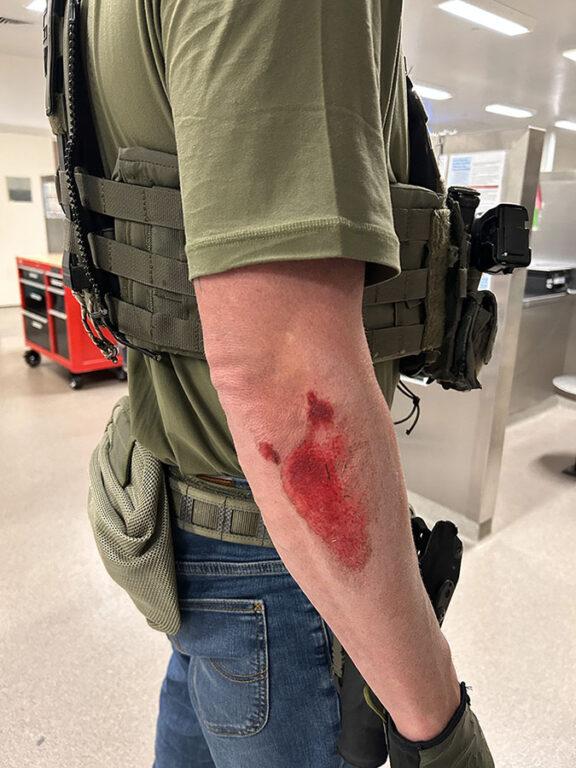 Feds arrest agitators for trashing property and menacing agents