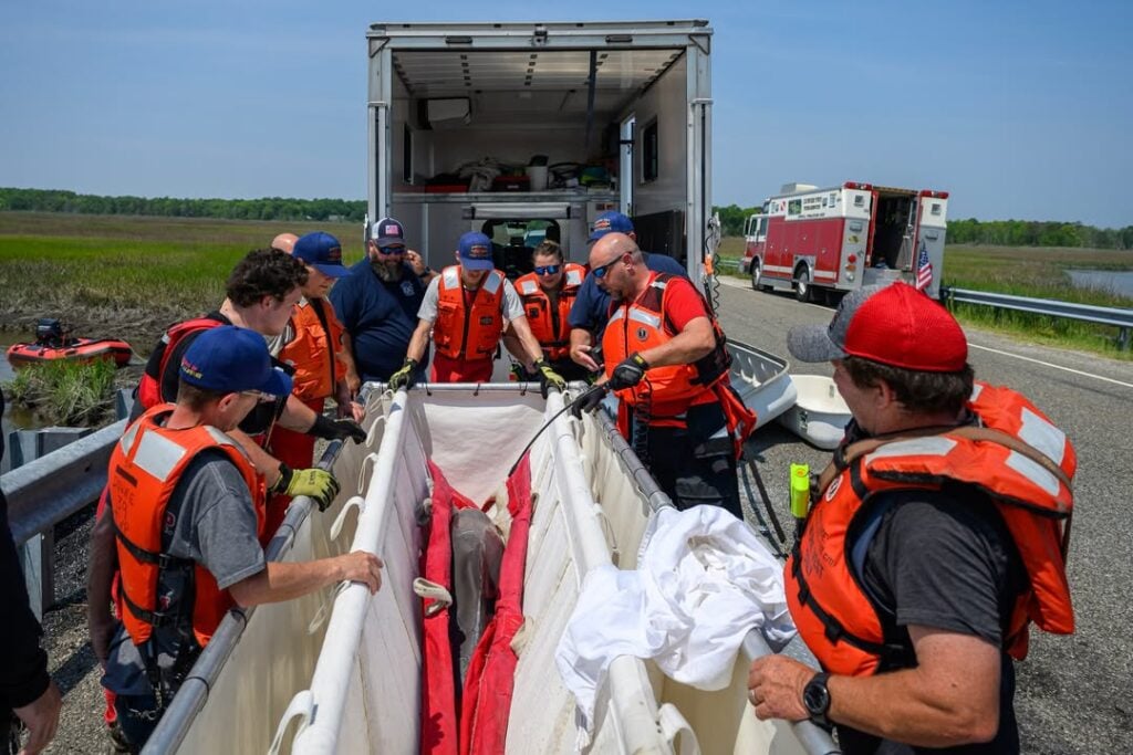 Rescue attempt for stranded dolphin in South Jersey ends in tragedy Rescue attempt for stranded dolphin in South Jersey ends in tragedy