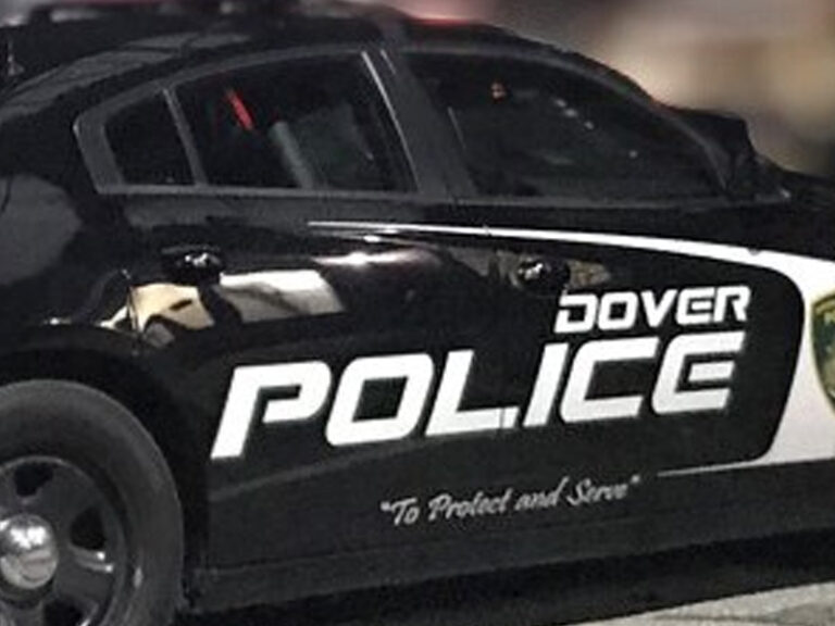 Woman pepper-sprayed and robbed at dover bus stop, police say - photo licensed by shore news network.