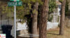 Forepeak avenue - beachwood, nj - google maps
