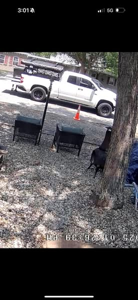 Honest mix-up or furniture foul-up in Ocean Township