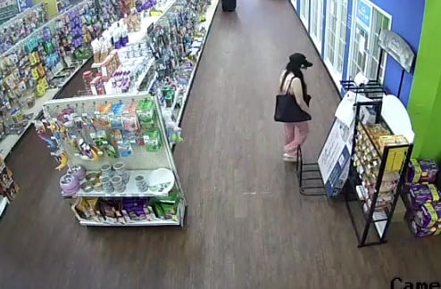 Kitten Thief Arrested, Cat Returned to Owner
