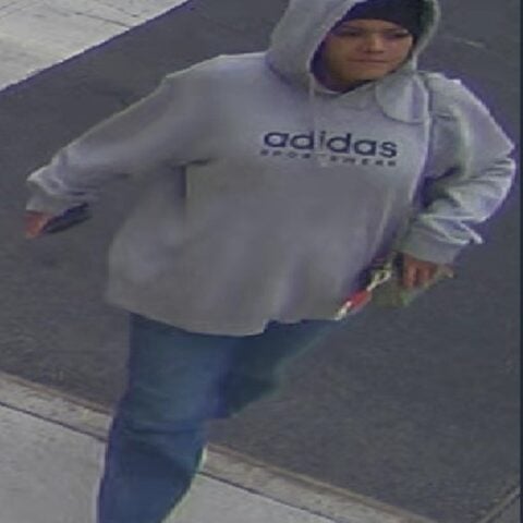 Police seek suspect who stole purse from 77-year-old woman on grand concourse - photo licensed by shore news network.