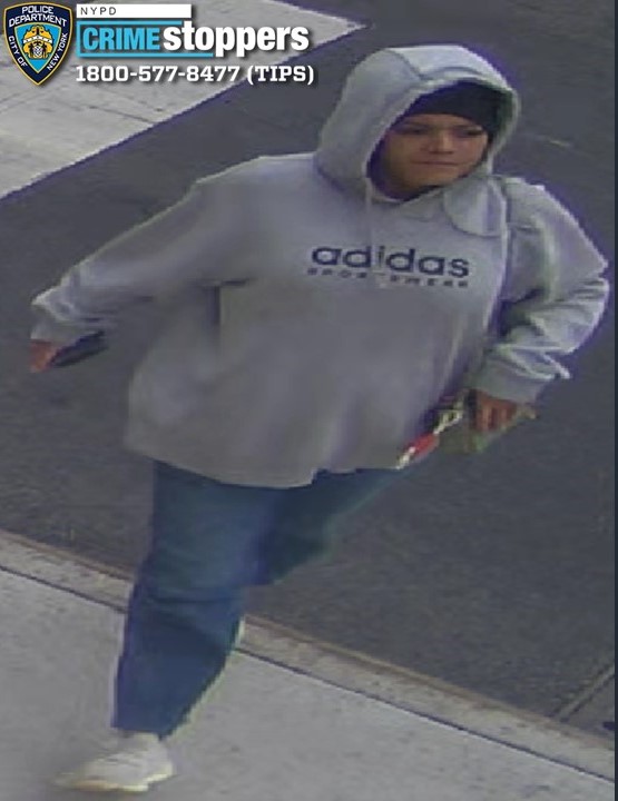 Police seek suspect who stole purse from 77-year-old woman on Grand Concourse