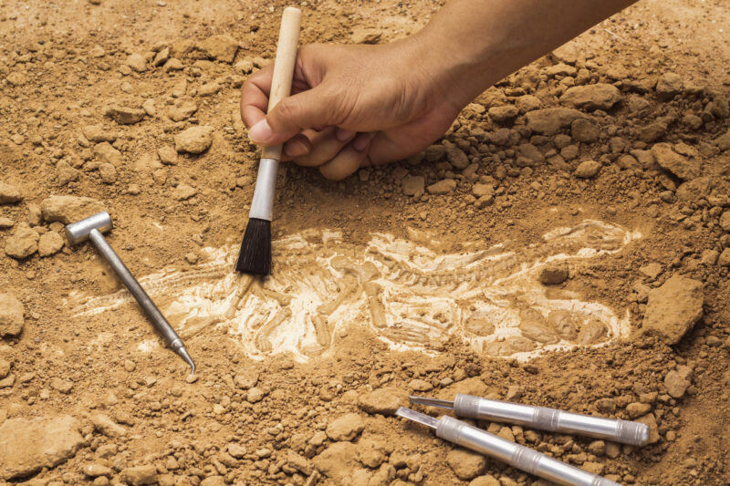 Louisiana man sentenced to 30 months for illegal digging at Native American sites and firearm possession
