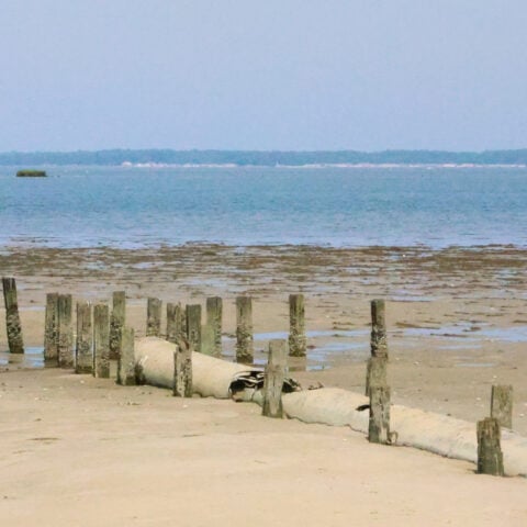 Teen drowns in broadkill river after crabbing outing near milton - photo licensed by shore news network.