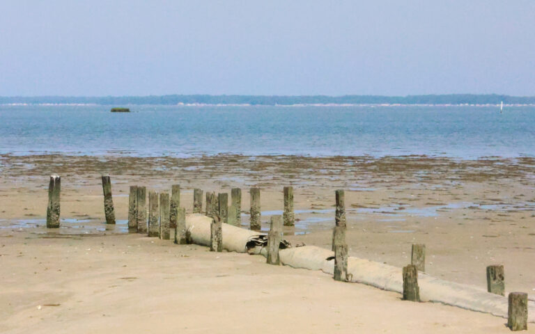 Teen drowns in broadkill river after crabbing outing near milton - photo licensed by shore news network.