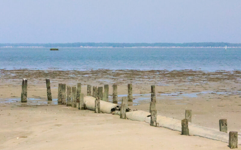 Teen drowns in Broadkill River after crabbing outing near Milton