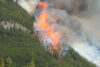 Canadian wildfire smoke drifts into jersey shore, prompting air quality warning