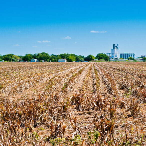 Sba announces ticking clock federal drought relief assistance for new jersey, farmers ineligible - photo licensed by shore news network.