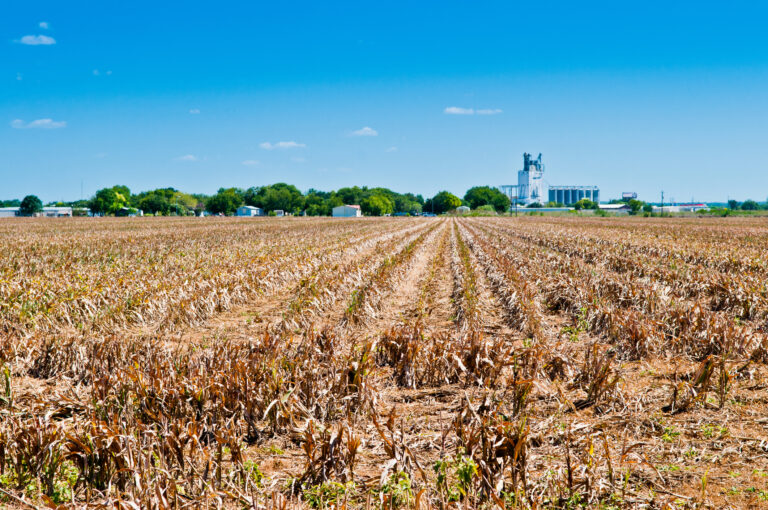 Sba announces ticking clock federal drought relief assistance for new jersey, farmers ineligible - photo licensed by shore news network.