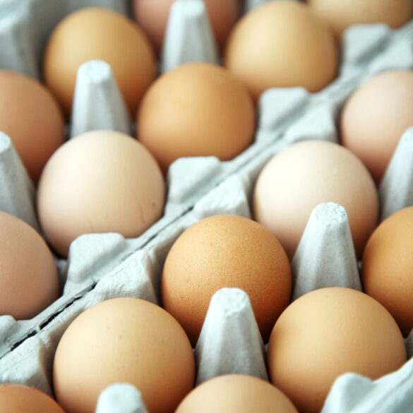 Feds sue california over nationwide egg prices - photo licensed by shore news network.
