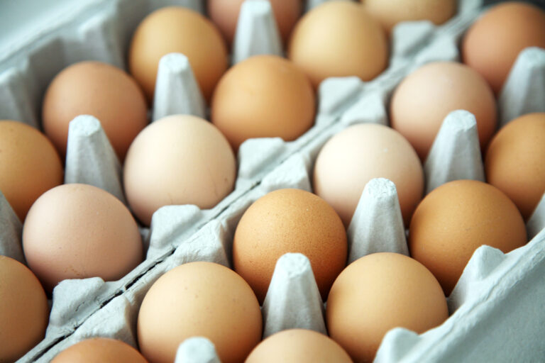 Feds sue california over nationwide egg prices - photo licensed by shore news network.