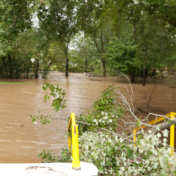 New jersey on flood alert as powerful storm threatens up to 5 inches of rain - photo licensed by shore news network.