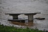 New jersey's flooding is mother nature's way of telling us to stop overdeveloping the garden state