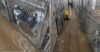 Flood submerges nj animal shelter, all animals rescued in dramatic effort