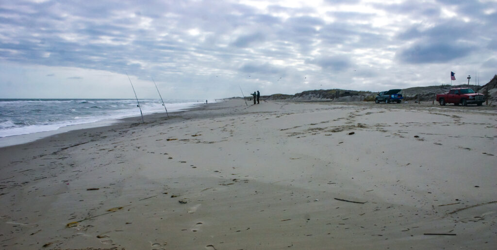 New Jersey Restricts Access Island Beach State Park Through Late August Over Birds and Toilets