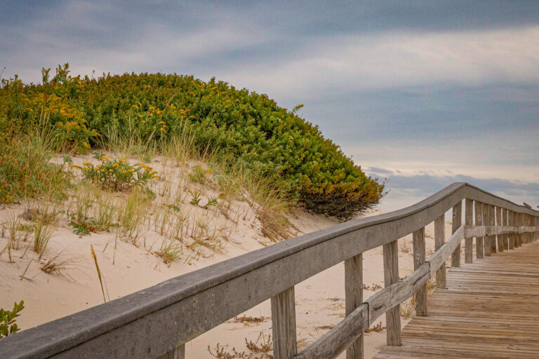 New jersey restricts access island beach state park through late august over birds and toilets - photo licensed by shore news network.