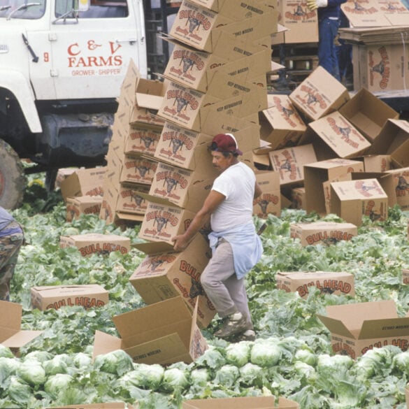 New jersey bill seeks to block unauthorized hiring of illegal alien workers - photo licensed by shore news network.