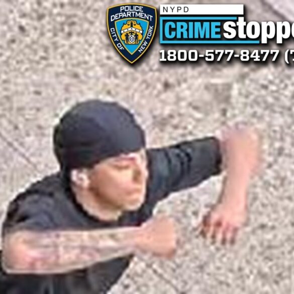 Elderly woman latest victim of nyc snatch and grab robbers - photo licensed by shore news network.