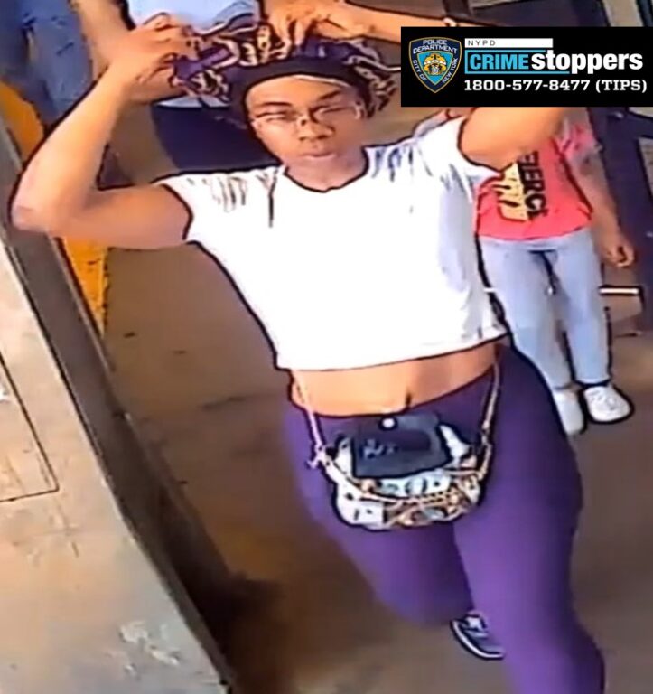 Duo assaults woman on L train in Brooklyn and steals her phone, police say