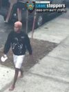 Bronx girl latest chain snatching victim in new york city