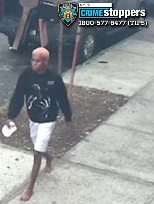 Bronx girl latest chain snatching victim in New York City