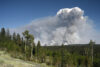 New jersey continues to get choked out by canadian wildfires as heat wave continues