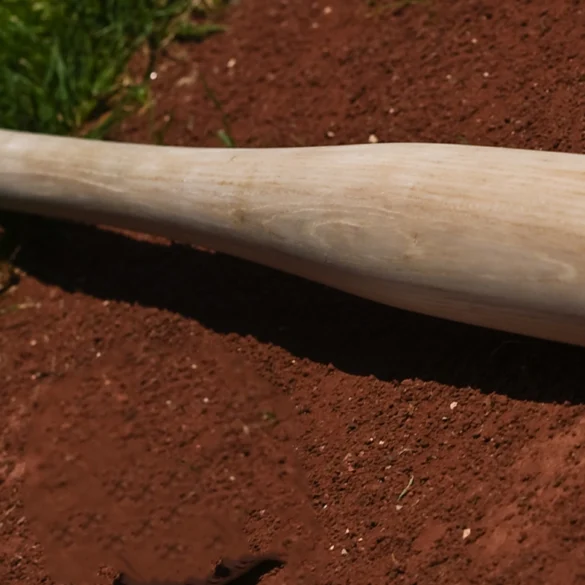 Bat flip lands new jersey little leaguer in court, but judge lets him play - photo licensed by shore news network.