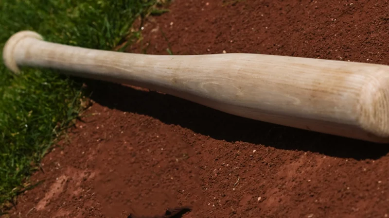 Bat flip lands New Jersey Little Leaguer in court, but judge lets him play