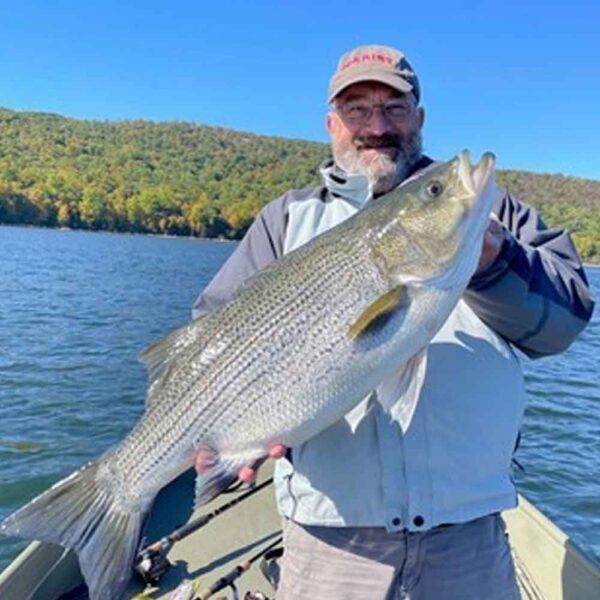 This ancient New Jersey fish is nearing extinction with fewer than 250 remaining