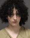 Lacey township woman charged in toms river hit-and-run that critically injured pedestrian