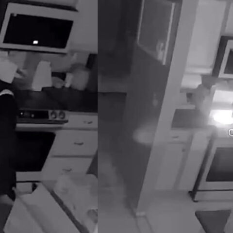 Dog accidentally starts kitchen fire, toms river fire bureau warns on pet safety - photo licensed by shore news network.