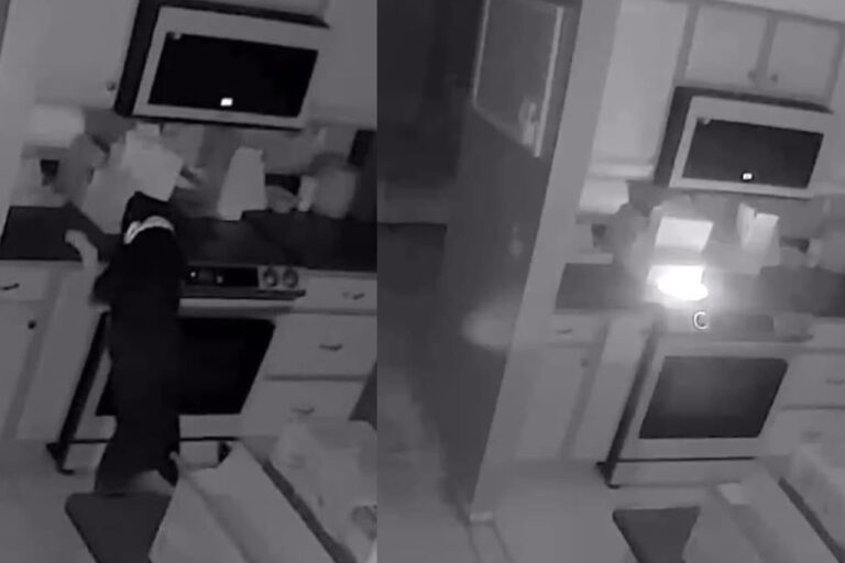 Dog accidentally starts kitchen fire, toms river fire bureau warns on pet safety - photo licensed by shore news network.