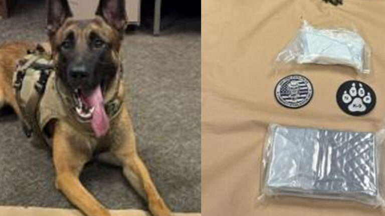 Niskayuna man caught with over 3 pounds of cocaine during taconic parkway stop - photo licensed by shore news network.