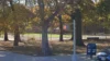 Man stabbed multiple times, killed overnight in brooklyn park