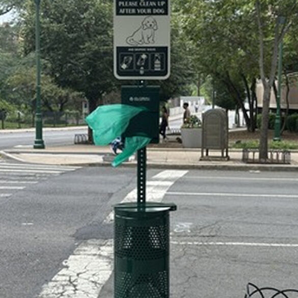 Pet waste stations installed in downtown new rochelle following complaint uptick - photo licensed by shore news network.