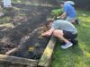 Scotch plains teens plant church garden to grow food for families in need