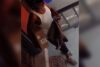 Porch pirate caught on camera stealing package in west philadelphia