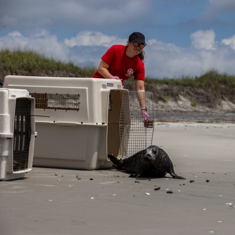 Michael mckenna, mmsc photo