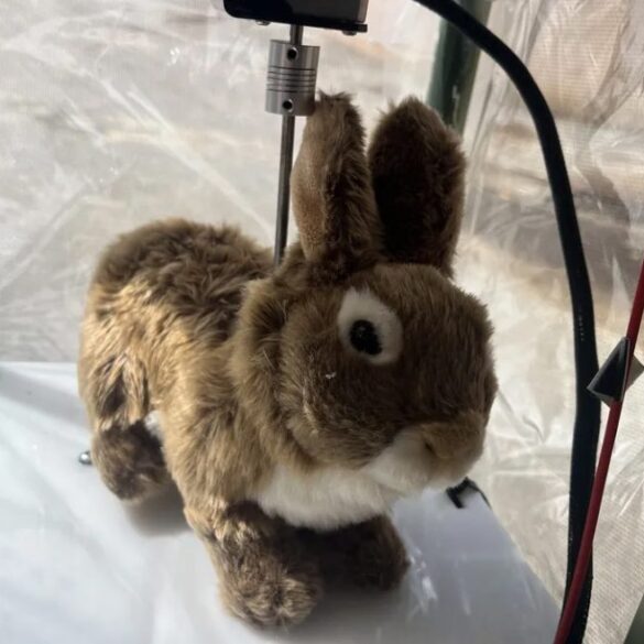 Robot bunnies deployed to florida everglades to combat burmese pythons - photo licensed by shore news network.